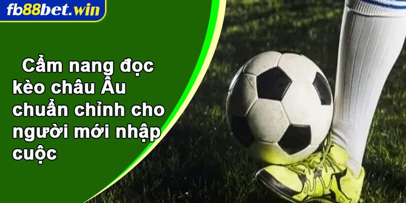 Cẩm nang đọc kèo châu Âu chuẩn chỉnh cho người mới nhập cuộc