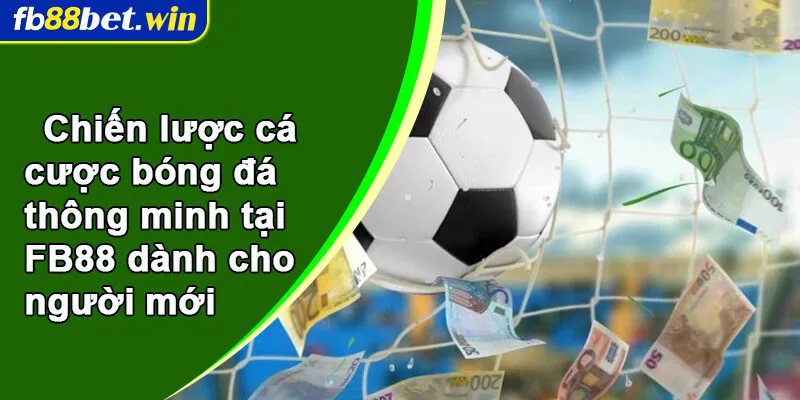 Chiến lược cá cược bóng đá thông minh tại FB88 dành cho người mới