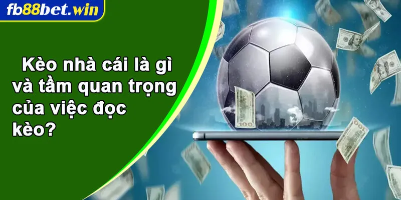 Kèo nhà cái là gì và tầm quan trọng của việc đọc kèo?